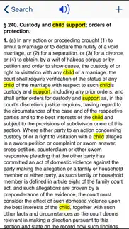 ny domestic relations law 2024 iphone screenshot 3