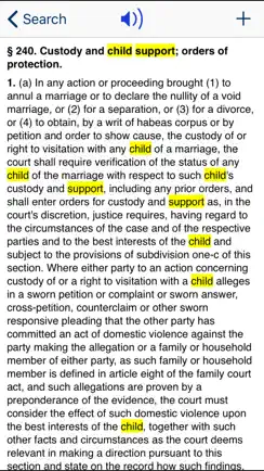 NY Domestic Relations Law 2026 iPhone image 3