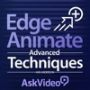 Adv Course For Edge Animate