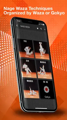 Game screenshot Judokai apk