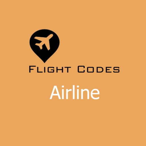 flight codes airline icon