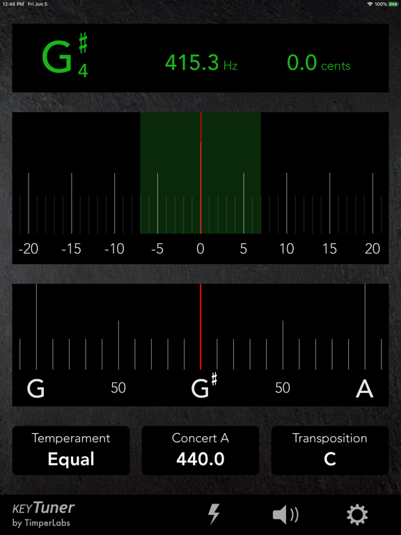 KeyTuner iPad screenshot 5 - Music app