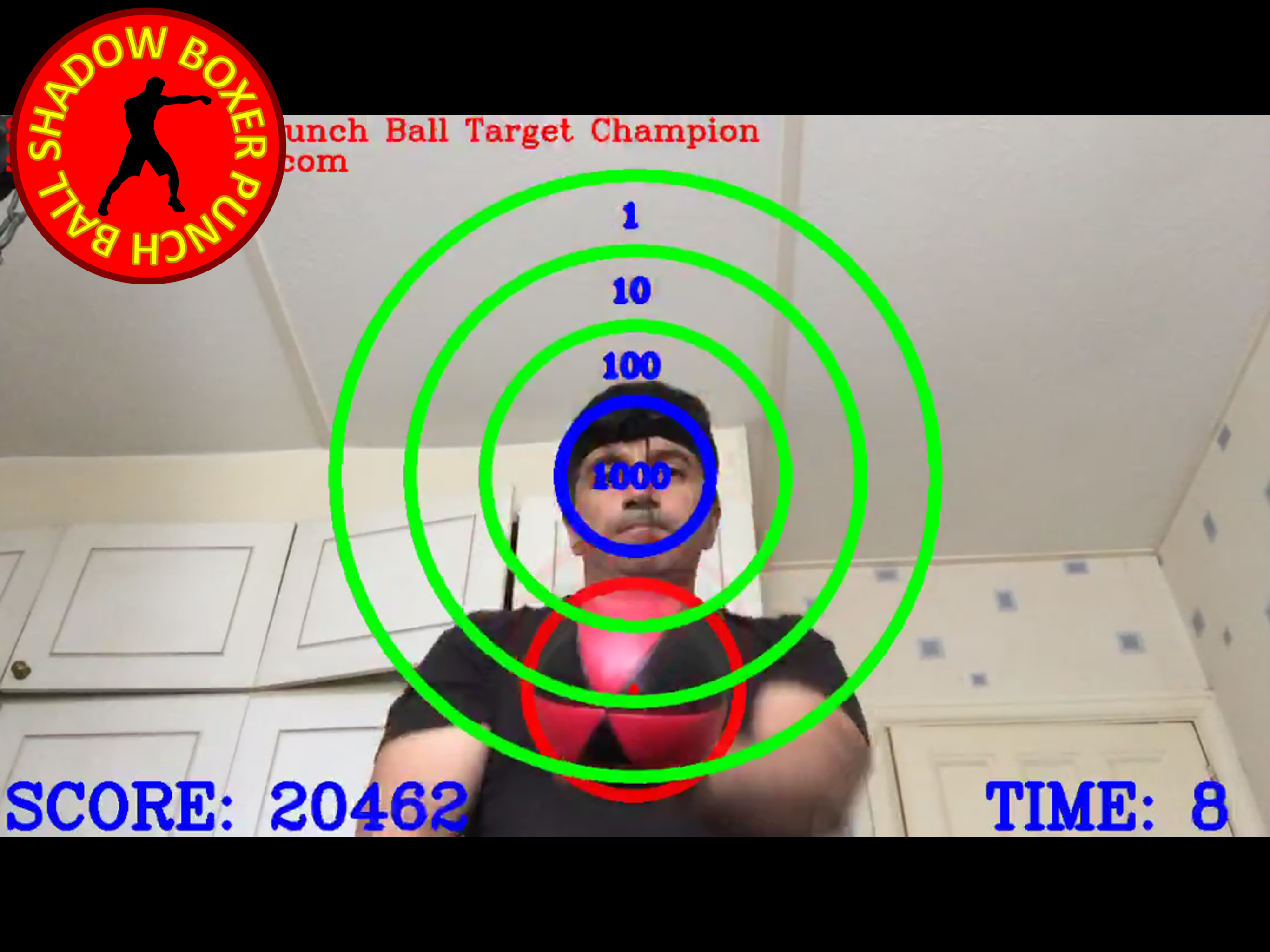 Shadow Boxer Punch Ball