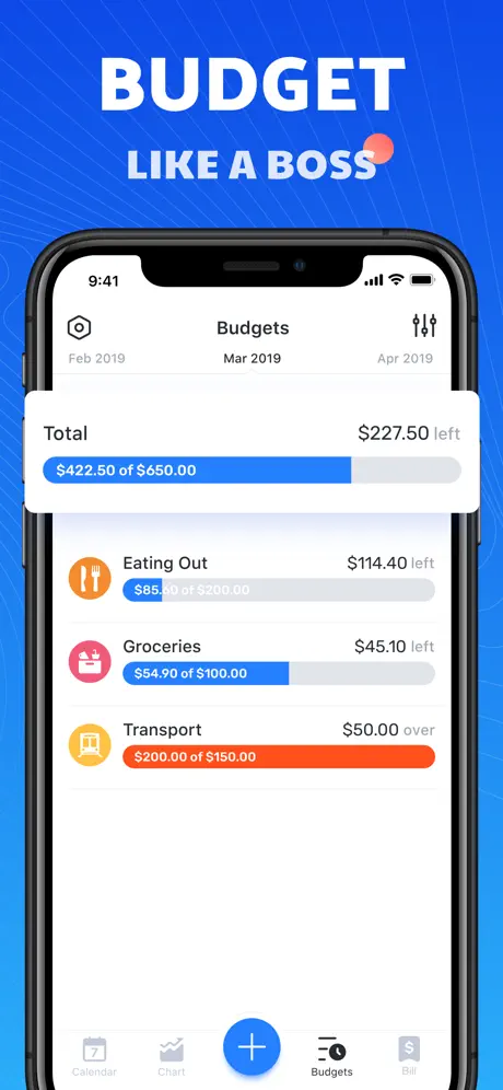 Pocket Expense 6