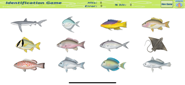Game Fish Identification