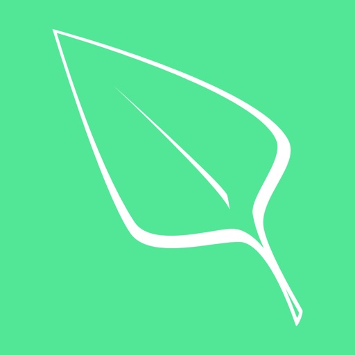 Ivy: Stats Tracker iOS App