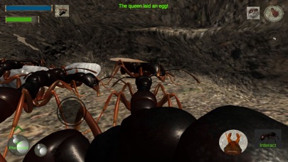 Ant Simulation Fullのおすすめ画像8