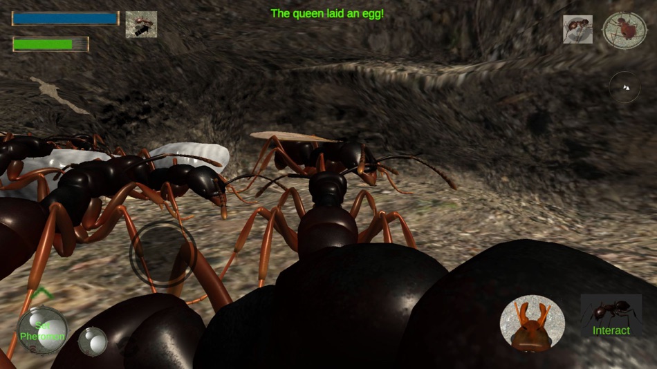 #8. Ant Simulation Full (iOS) 由: mnhksdevelopment