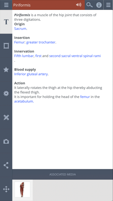 How to cancel & delete Hip: 3D Real-time from iphone & ipad 4