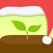 Forest Forest