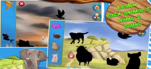 Zoo Animals Flash Cards screenshot #5 for iPhone