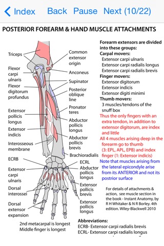 Anatomy Lectures and MCQsのおすすめ画像4