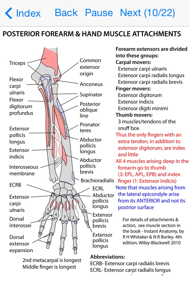 Anatomy Lectures and MCQs screenshot 4