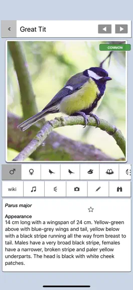 Game screenshot Birds of Britain Pocket Guide mod apk