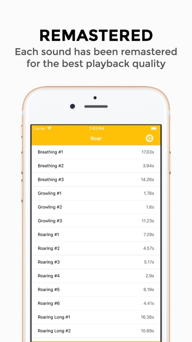 Roar - Lion Sounds screenshot 4