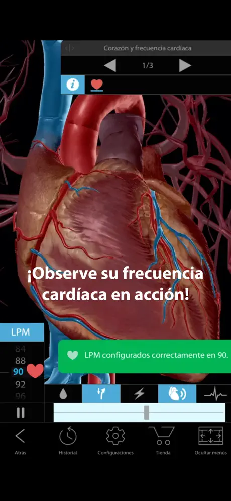 Fisiología & Patología