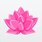 ZenView - Calm and Meditation App Contact