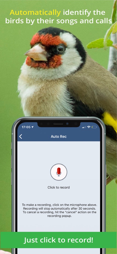Bird Song Id UK - bird-song-id-uk-app-recording