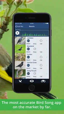 Game screenshot Bird Song Id UK hack