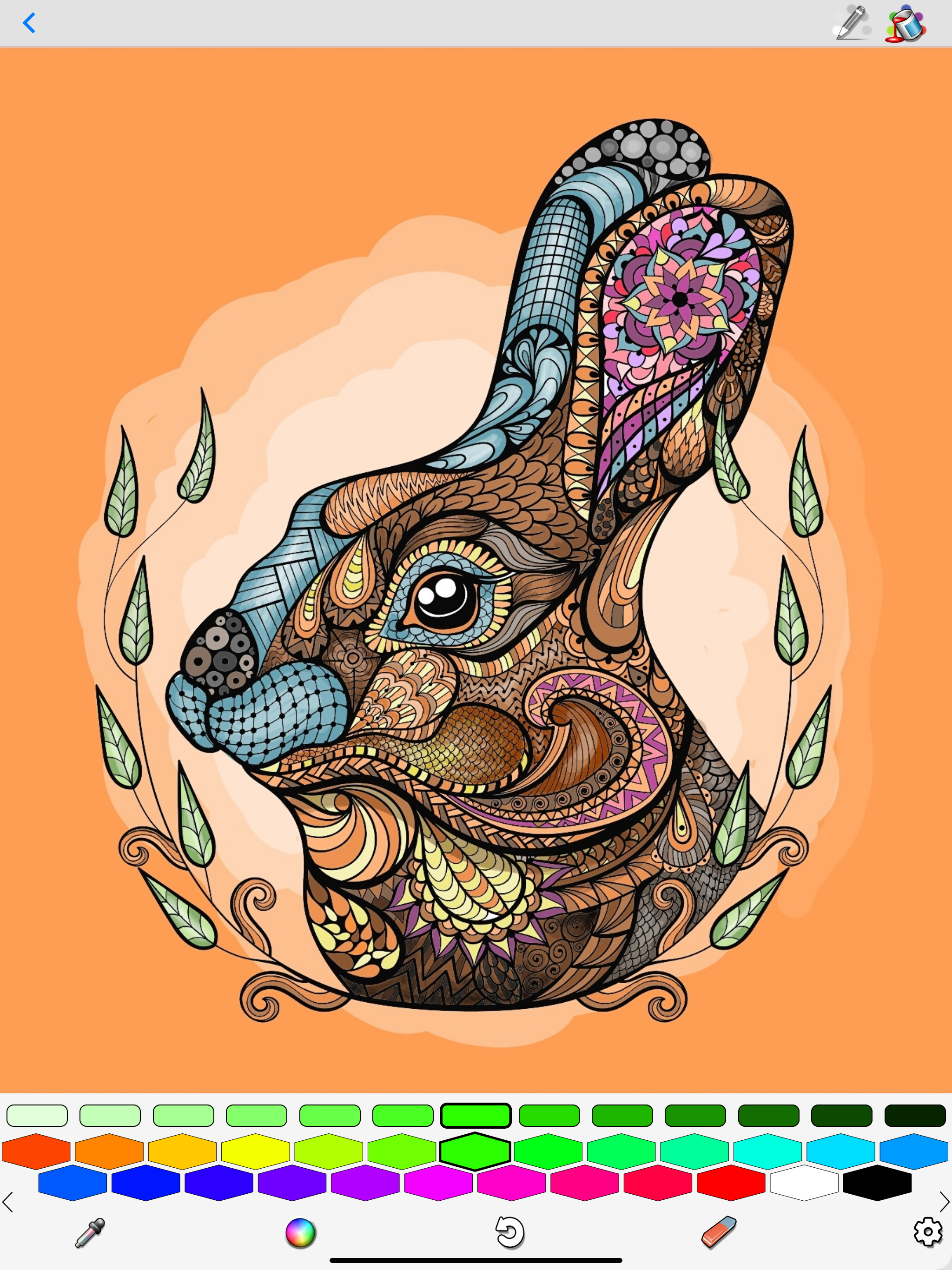Coloring for Adults