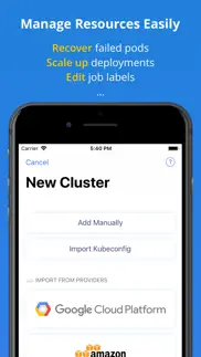kuber - kubernetes dashboard iphone screenshot 3
