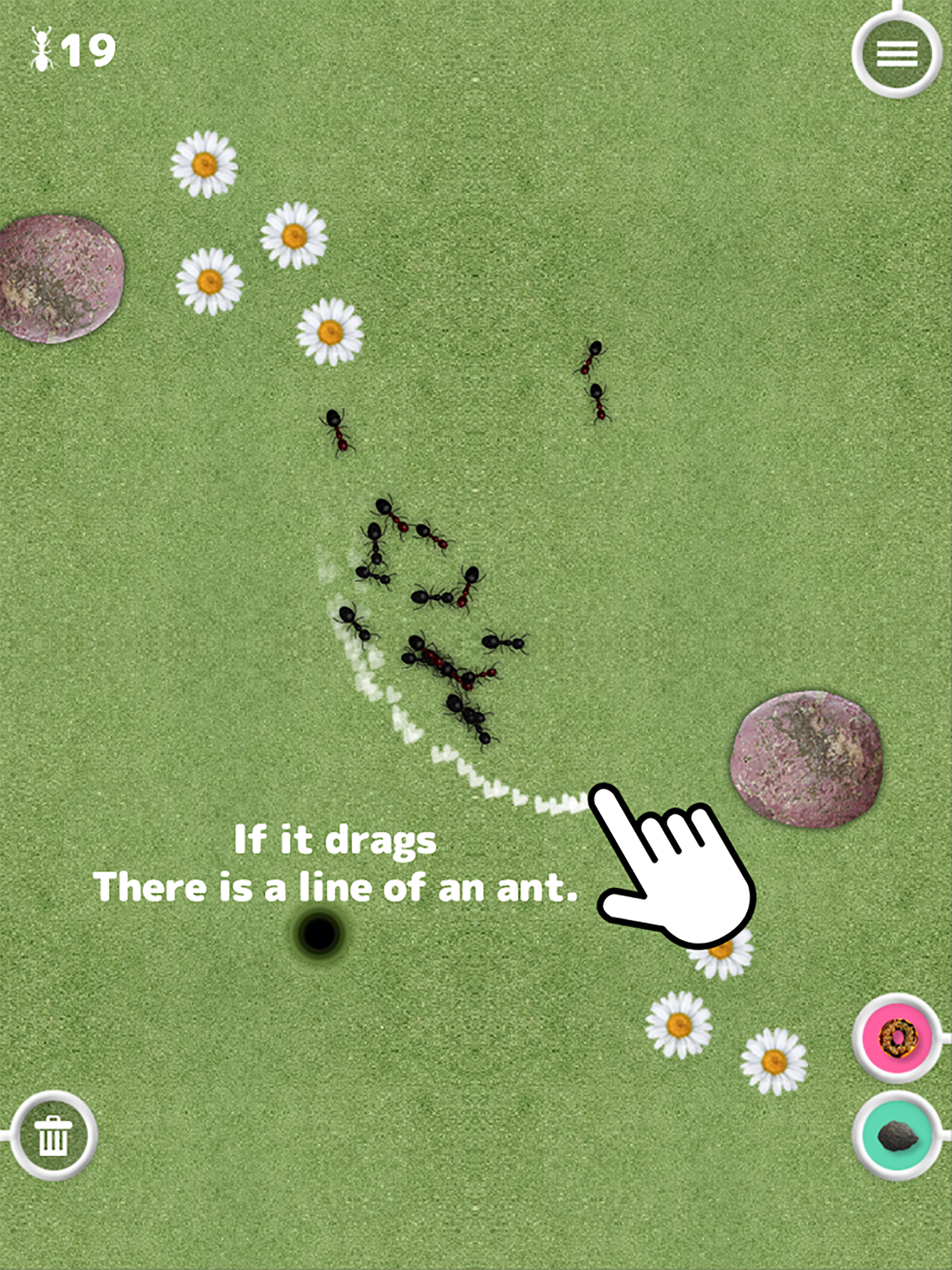 Great Ant Adventure