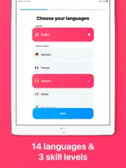 itranslate lingo ipad images 2