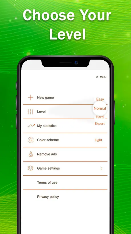 Sudoku Puzzle Classic games
