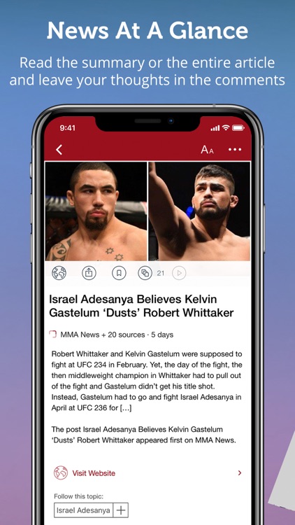 MMA Ultimate Fighting