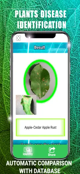 Game screenshot Идентификация болезней растени hack
