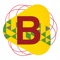 The official BIAS app provides a very convenient way for Exhibitors of “Brazil International Apparel Sourcing Show” to store visitor information automatically by scanning the QR code on visitor’s badge