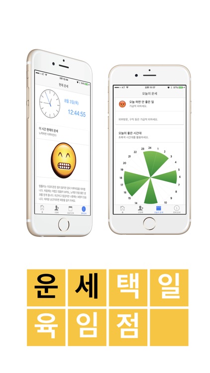 현대사주 - 현대인을 위한 사주풀이 백과 screenshot-3