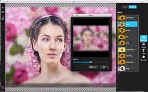 My Photo Collage -  Maker screenshot