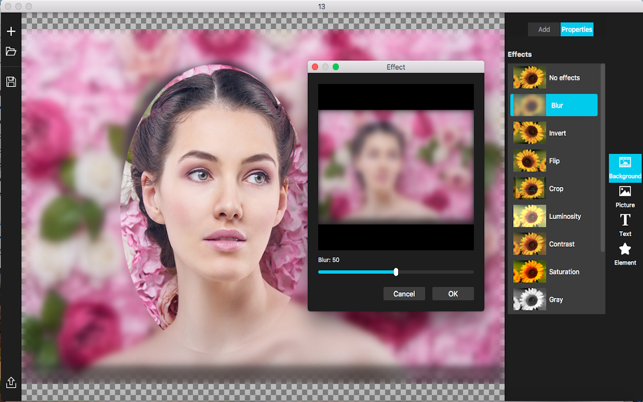 Foto Collage - Collage Maker(圖5)-速報App