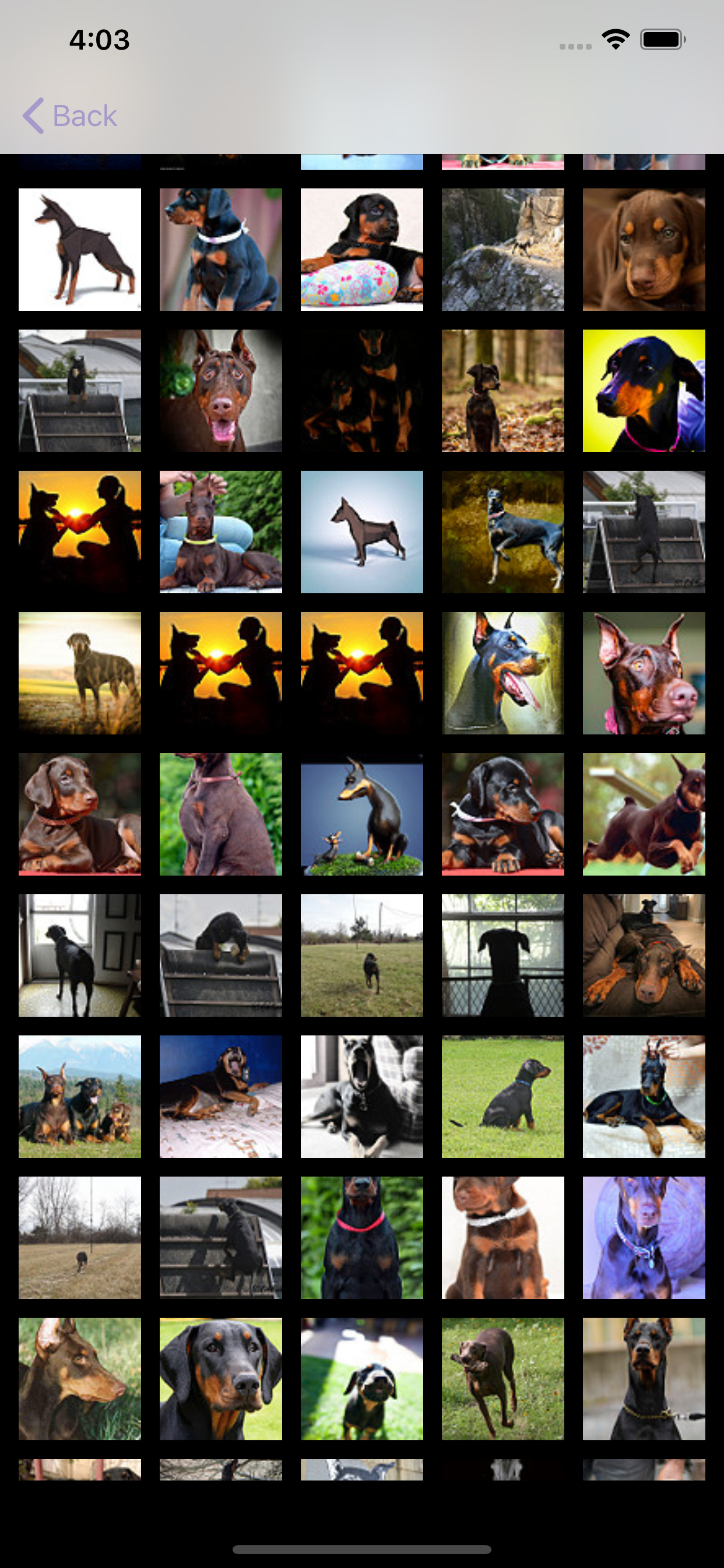 Dog's Family