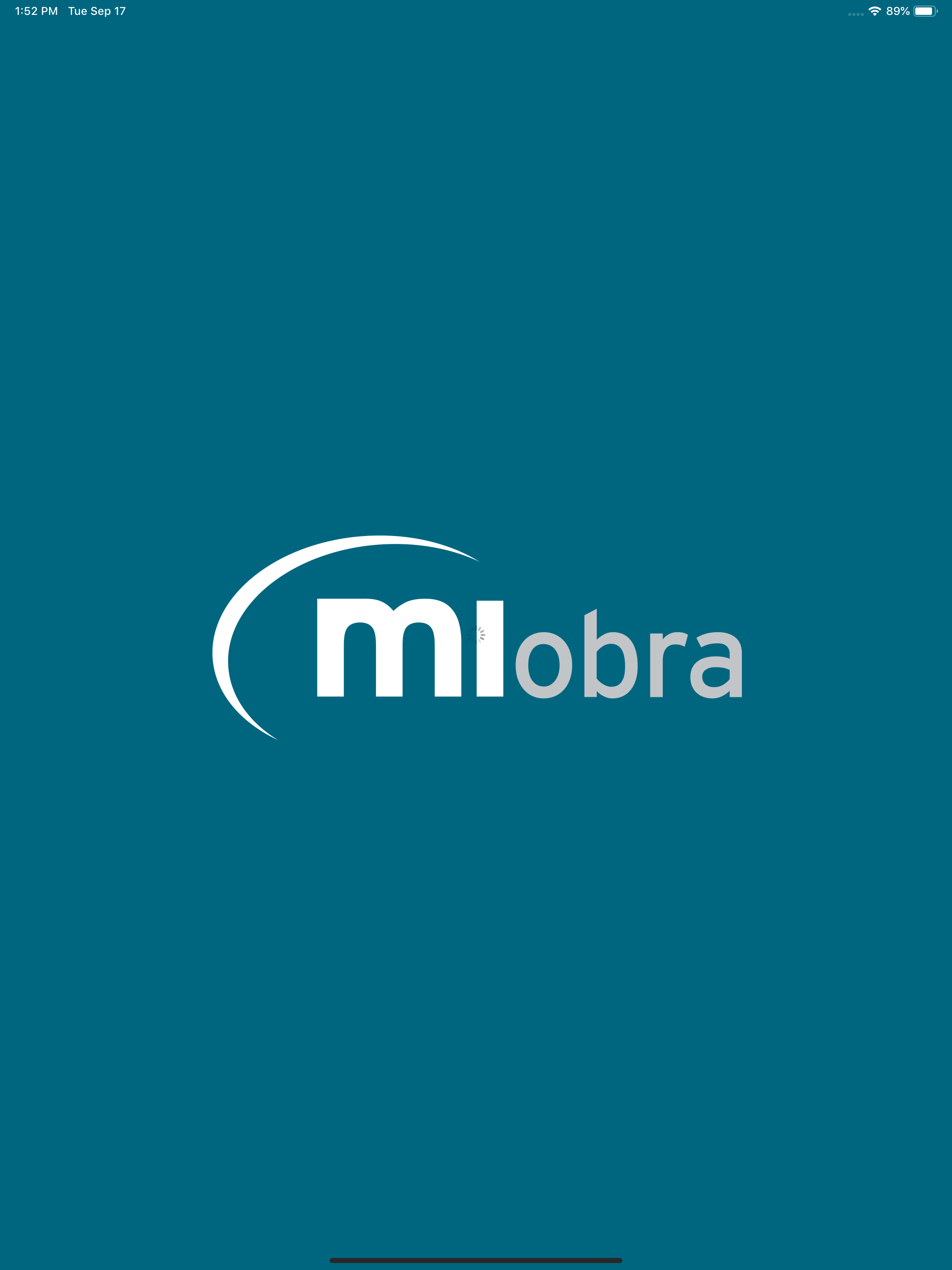 MiObra Melón