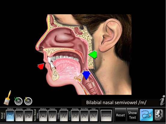 Screenshot #4 pour Semivowels