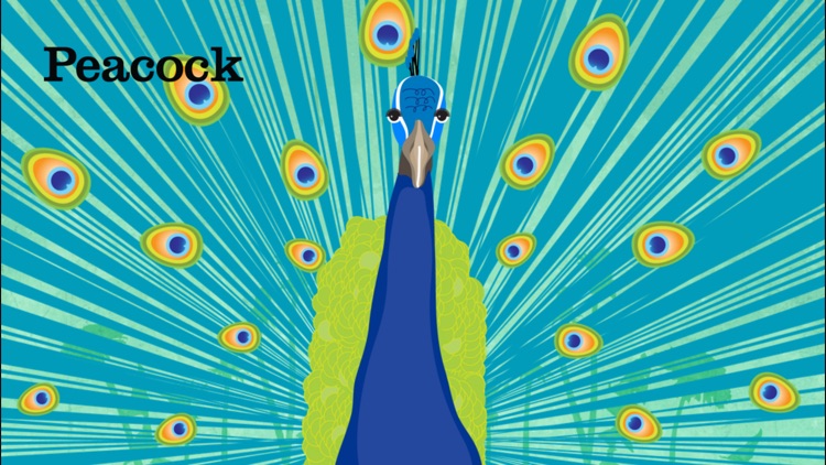 Peek-a-Zoo: Peekaboo Zoo Games screenshot-3