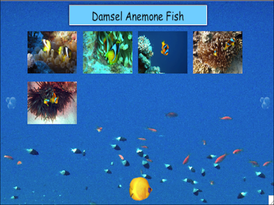 Screenshot #6 pour Diving In The Red Sea