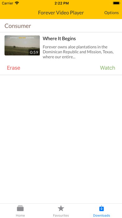 Screenshot #3 pour Forever Video Player