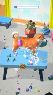 zoosalon 3d айфон картинки 4
