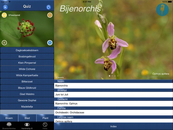 Wilde Bloemen Id NL iPad app afbeelding 4