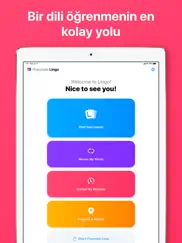 itranslate lingo ipad resimleri 1