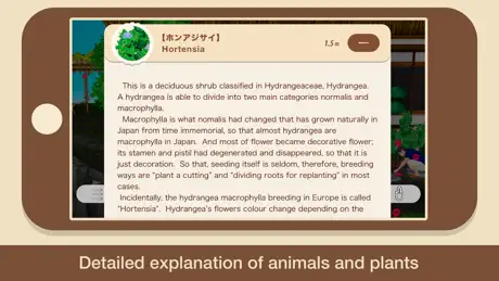 “SOIL“