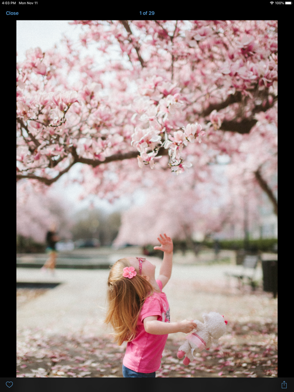 Livedrive iPad screenshot 4 - Productivity app