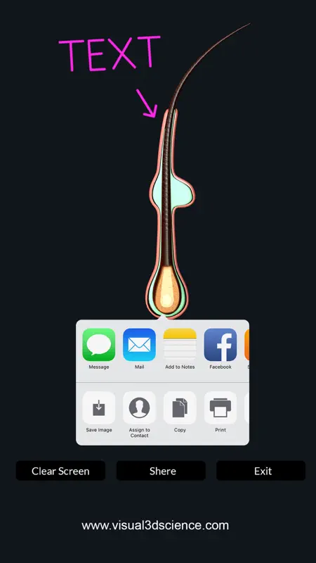 My Skin Anatomy screenshot 6 of 8