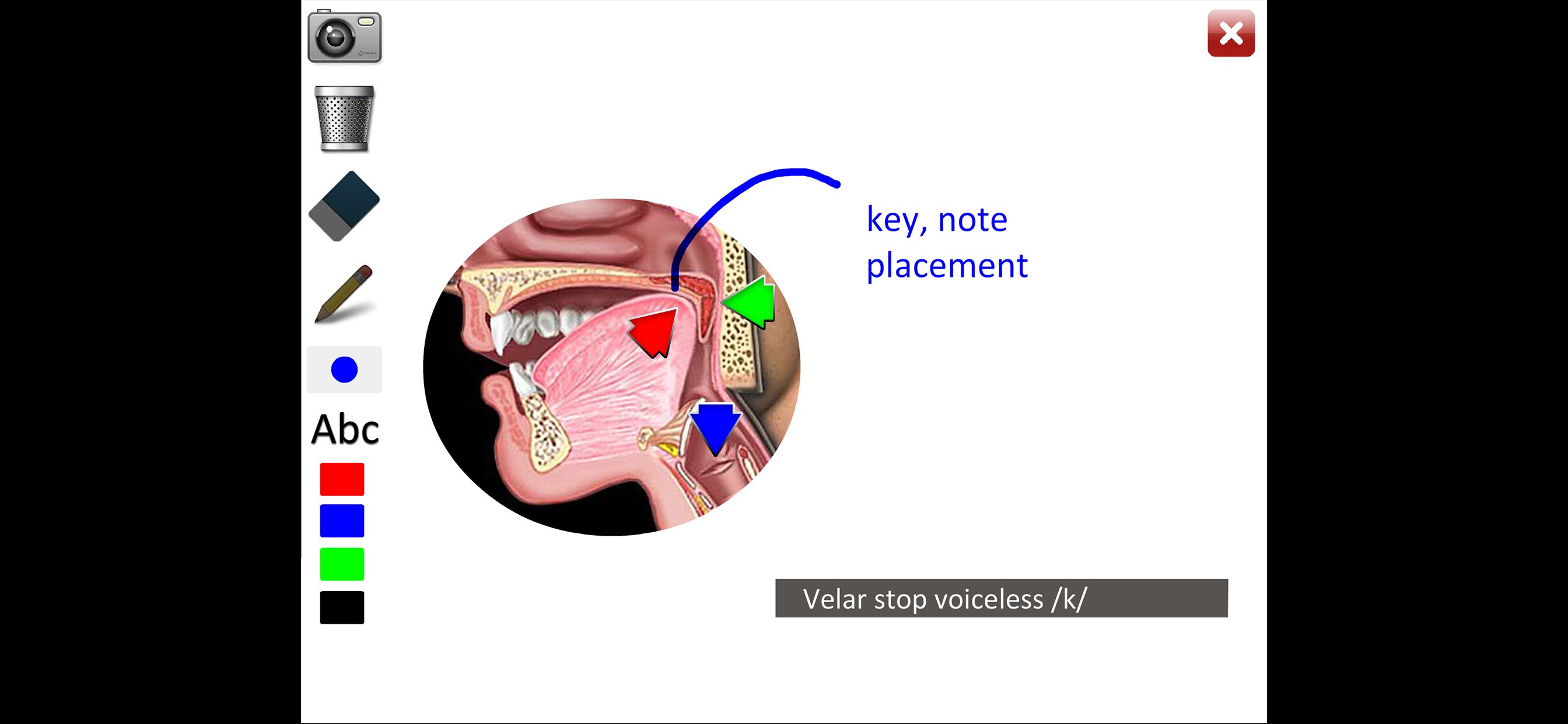 Affricates Stops screenshot 5