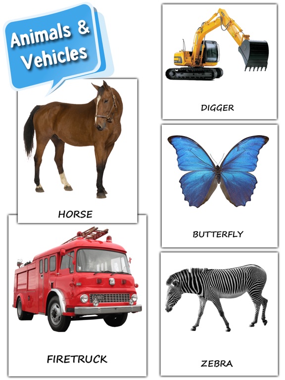Screenshot #5 pour My First 100 Word Flashcards