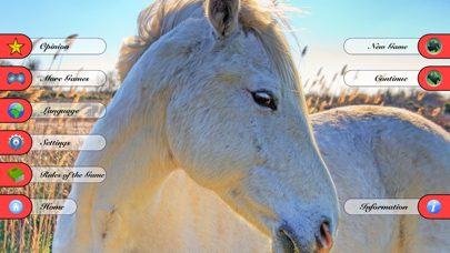 Ludo - Horse Racing Game Screenshot