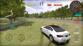 Game screenshot 真实赛车:天天极速飞车手游 hack